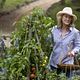 Wenn Liebe so einfach wäre : photo Meryl Streep, Nancy Meyers