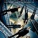 Inception