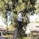 <b>Ariel Winter, Julie Bowen, Nolan Gould, Sarah Hyland, Ty Burrell</b> Bild : Modern Family