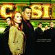 CSI: Den Tätern auf der Spur : photo Gary Dourdan
