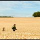Bild zu Gilles Paquet-Brenner
