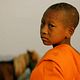 Buddha's Lost Children : photo