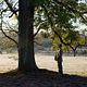 L'Arbre et la forêt : photo Jacques Martineau, Olivier Ducastel