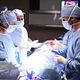 Dr. House : photo Jesse Spencer, Odette Annable, Peter Jacobson