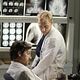 Foto - SERIES - Grey's Anatomy : 274