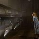 Foto - FILM - The Crazies : 136101
