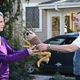 Parenthood (2010) : photo Michael Emerson, Monica Potter