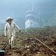 Fitzcarraldo
