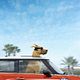 Marmaduke