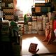 Foto - Personne : 49175