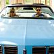 Foto - FILM - Der Kautions-Cop : 141502