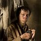 Foto - Personne : 186922