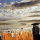 Foto - SERIES - Scoundrels : 8176