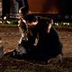 <b>Candice Accola, Nina Dobrev</b> Bild : The Vampire Diaries