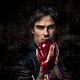 <b>Ian Somerhalder</b> Bild : The Vampire Diaries