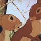 Watership Down