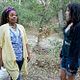 Weeds - Kleine Deals unter Nachbarn : photo Mary-Louise Parker, Tonye Patano