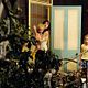 Bild zu <b>The Tree</b>: Charlotte Gainsbourg