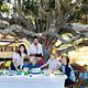 Bild zu <b>The Tree</b>: Charlotte Gainsbourg, Marton Csokas