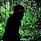 Uncle Boonmee erinnert sich an seine früheren Leben