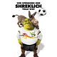 Für immer Shrek