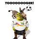 Für immer Shrek