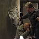 <b>Anthony Michael Hall, Michael Chiklis</b> Bild : No Ordinary Family