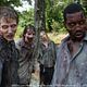 The Walking Dead : photo