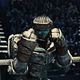 <b>Shawn Levy</b> Bild : Real Steel