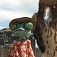 <b>Rango</b> Bild 