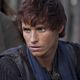 Bild zu <b>Die Säulen der Erde</b>: Eddie Redmayne