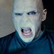 Harry Potter und die Heiligtümer des Todes - Teil 2 : photo David Yates, Ralph Fiennes