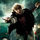 Harry Potter und die Heiligtümer des Todes - Teil 2 : poster Rupert Grint
