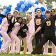 Greek : photo Amber Stevens, Dilshad Vadsaria, Jake McDorman, Paul James, Tiffany Dupont