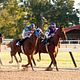 Secretariat : photo Randall Wallace