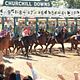 Secretariat : photo Randall Wallace