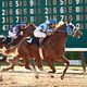 Secretariat : photo Randall Wallace