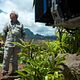 <b>Rob Marshall</b> Bild : Pirates of the Caribbean: Fremde Gezeiten