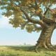 <b>Don Hall, Stephen J. Anderson</b> Bild : Winnie Puuh
