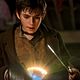 Neverland : photo Charlie Rowe