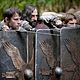 <b>Der Adler der neunten Legion</b> Bild 