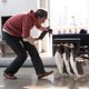 <b>Mr. Poppers Pinguine</b> Bild 