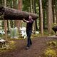 Twilight 4: Breaking Dawn - Bis(s) zum Ende der Nacht (Teil 1) : photo Bill Condon, Kellan Lutz