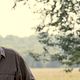 Take Shelter - Ein Sturm zieht auf : photo Jeff Nichols, Michael Shannon (II)