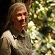 Jane's Journey - Die Lebensreise der Jane Goodall