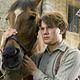 Gefährten : photo Jeremy Irvine, Steven Spielberg