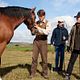 Gefährten : photo Benedict Cumberbatch, Patrick Kennedy, Steven Spielberg, Tom Hiddleston