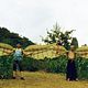 The Bird People in China : photo Masahiro Motoki, Renji Ishibashi, Takashi Miike