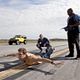 The Finder : photo Geoff Stults, Michael Clarke Duncan, Rus Blackwell