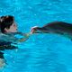 Mein Freund, der Delfin : photo Charles Martin Smith, Nathan Gamble